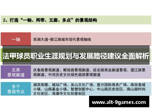 法甲球员职业生涯规划与发展路径建议全面解析