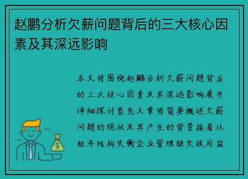赵鹏分析欠薪问题背后的三大核心因素及其深远影响